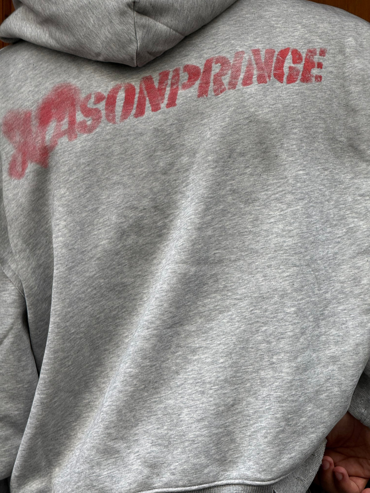 HOODIES CROP ASONPRINCE WASHED GREY CN