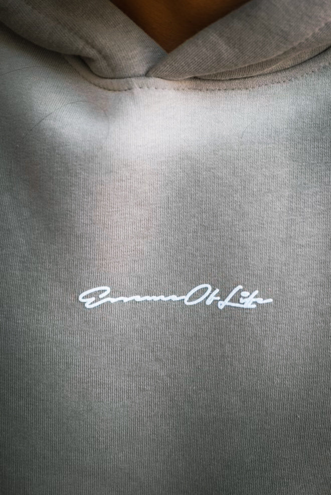 HOODIES STAY HIGH GRIS