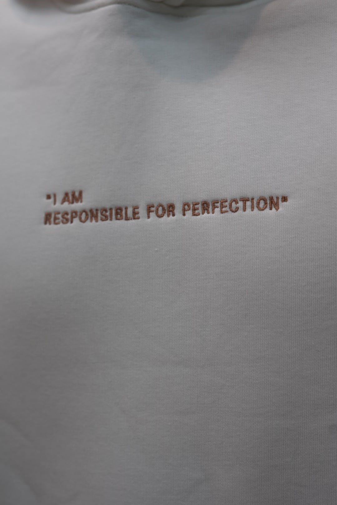 HOODIES I AM RESONSIBALE  WHITE swe25007