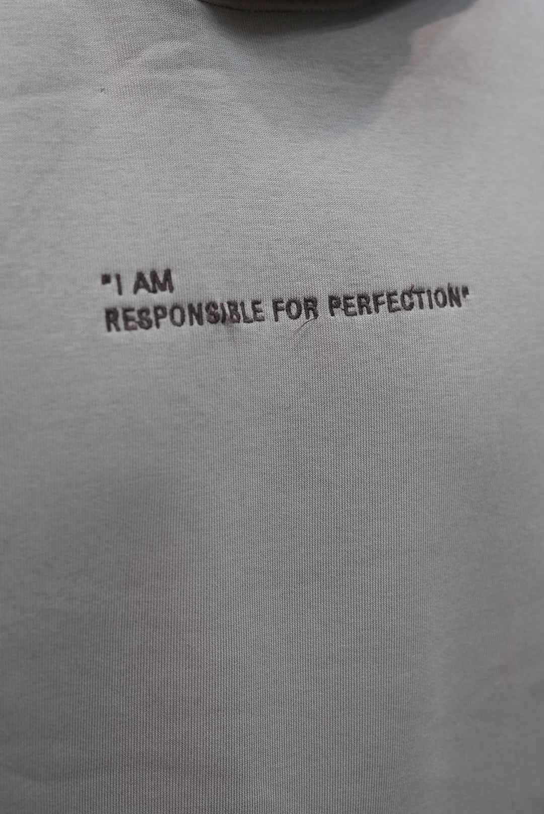 HOODIES I AM RESONSIBALE BEIGE swe25007