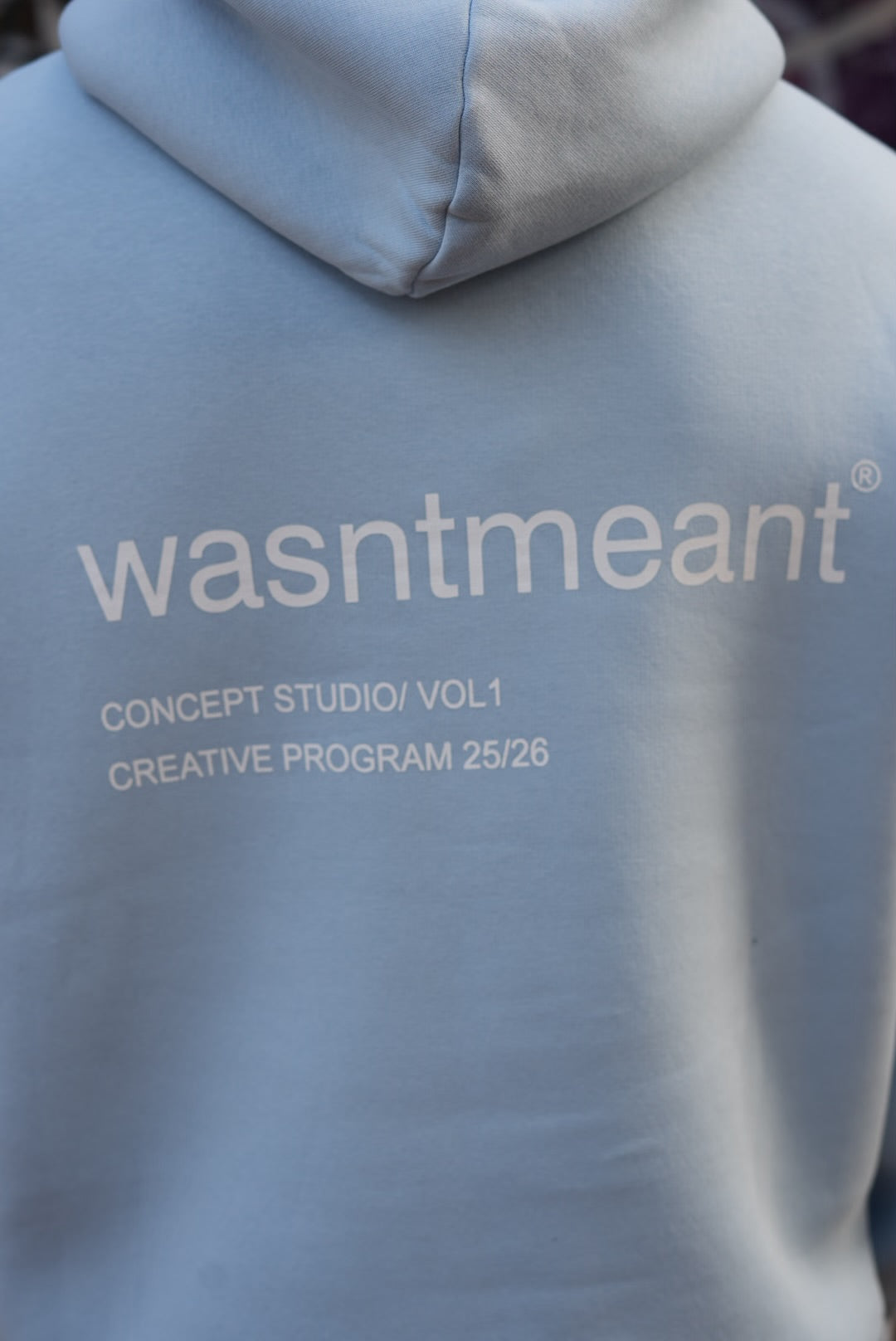 HOODIES WASNTMEANT BABY BLUE E71-74