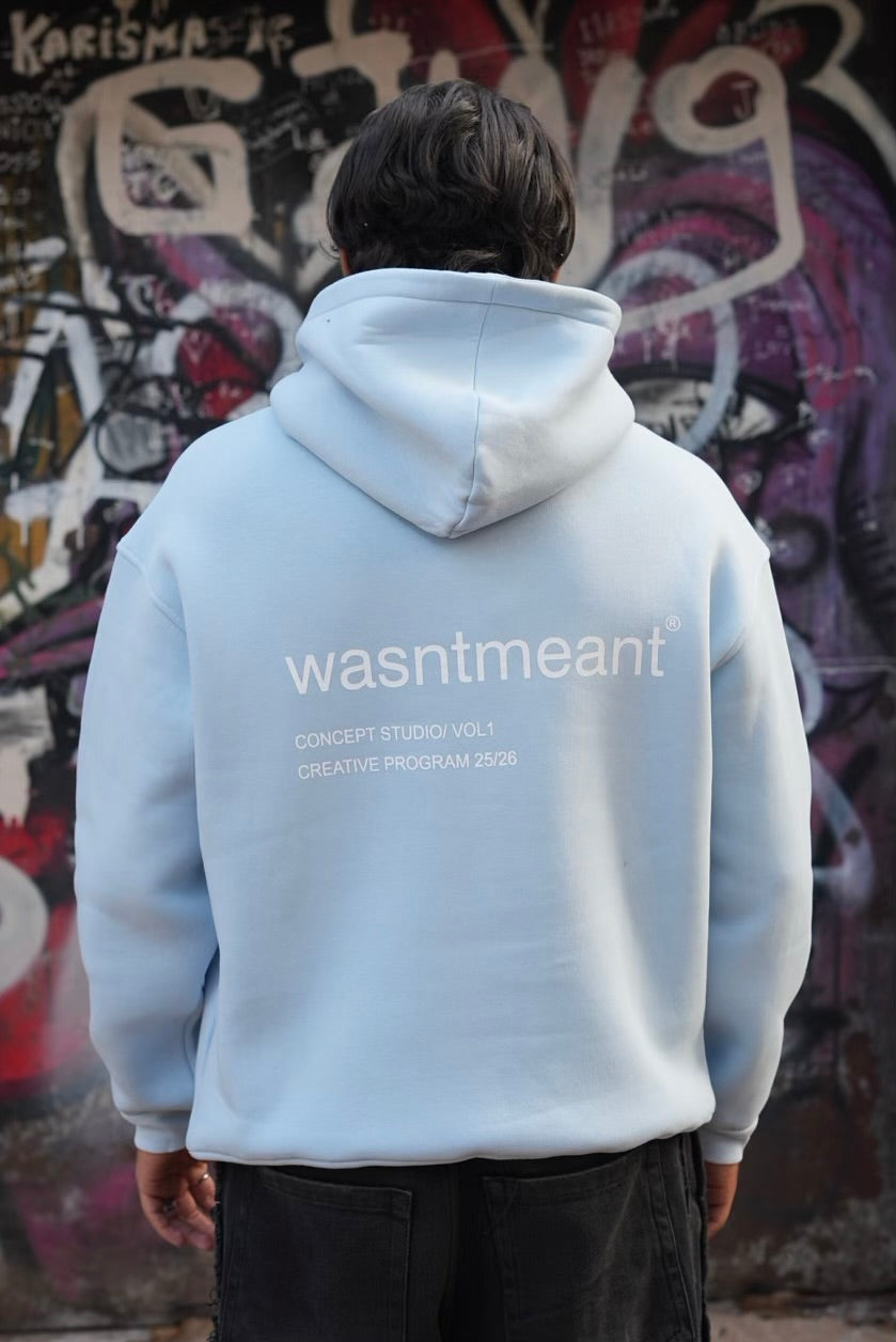 HOODIES WASNTMEANT BABY BLUE E71-74