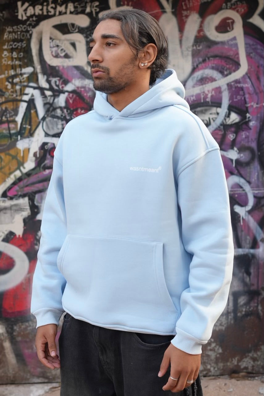 HOODIES WASNTMEANT BABY BLUE E71-74