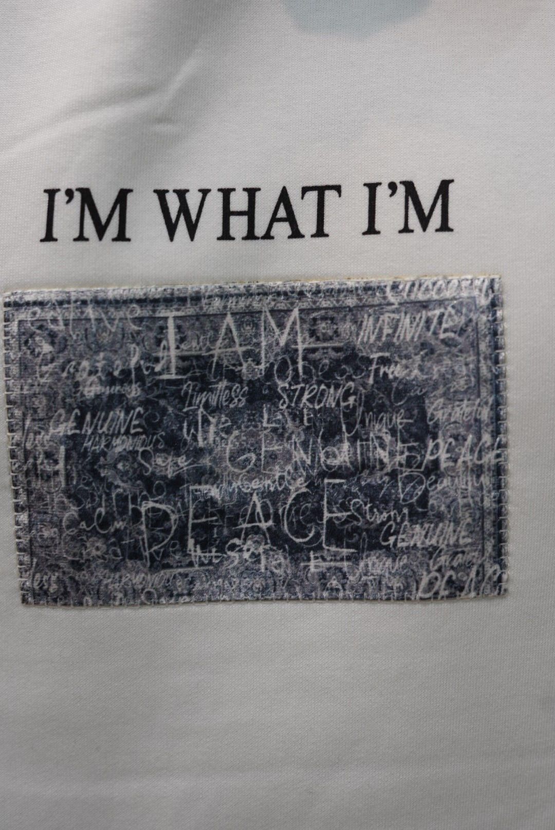 HOODIES SW I'M WHAT I'M WHITE 4967