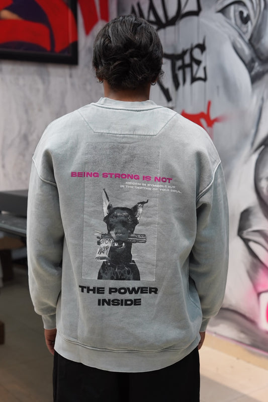 SWEATSHIRT THE POWER GREY 257087